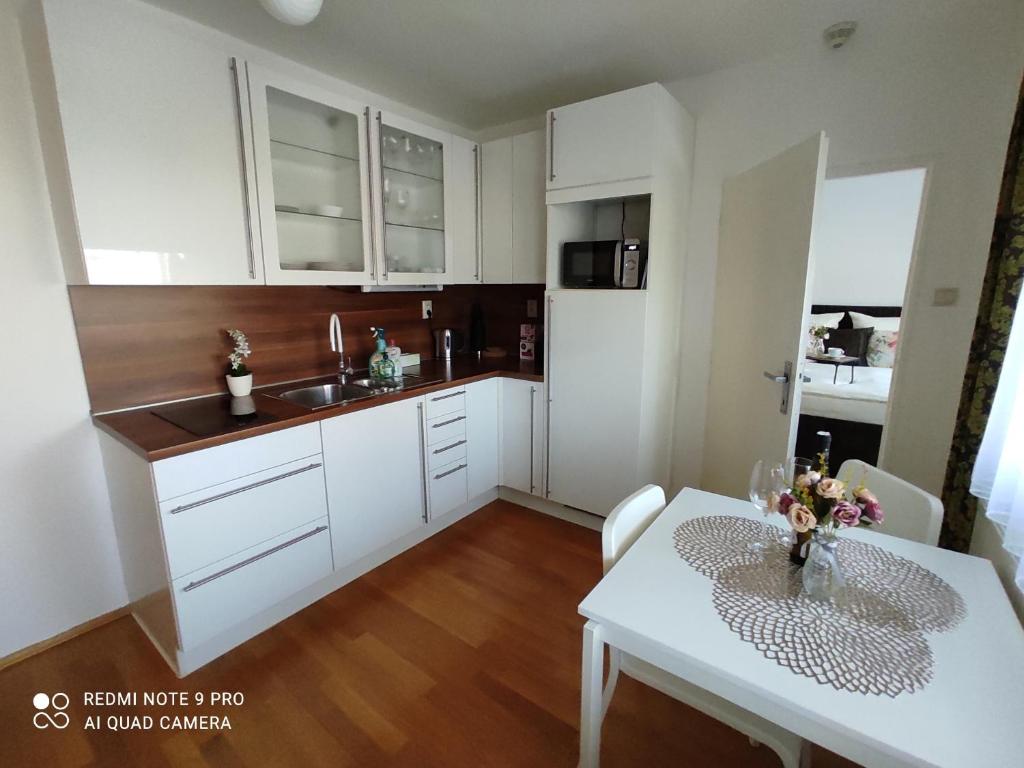 Apartmán Miror-Jiné ubytování Lednice photo 4