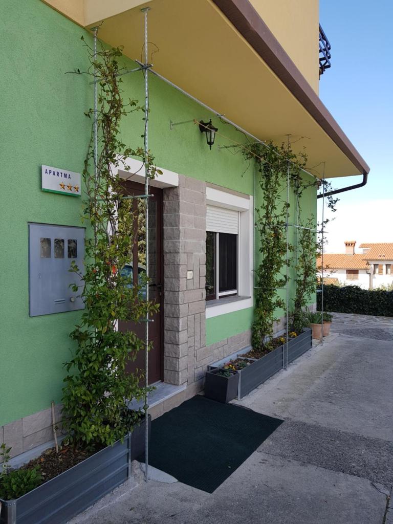 Apartment and rooms Parus photo 2