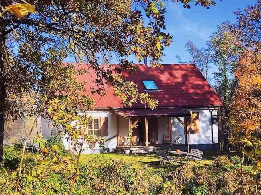 Świętokrzyskie Dworek Radkowice Kasztanowa Aleja photo 1