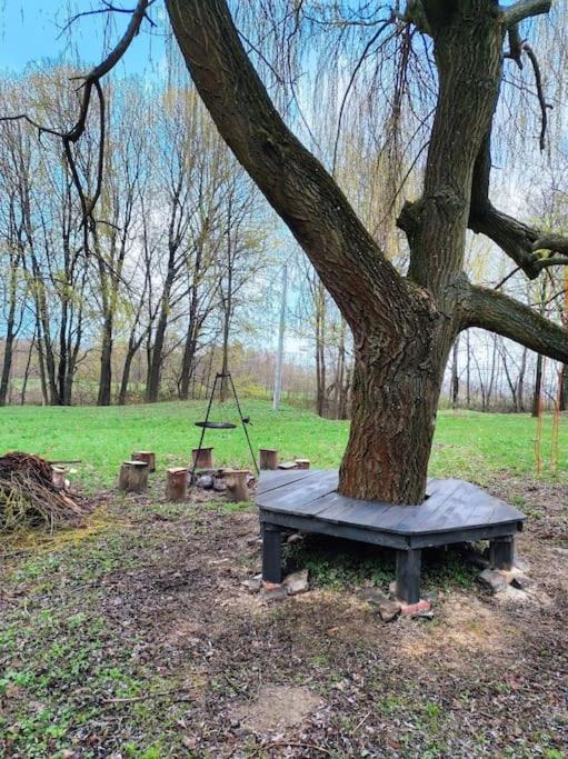 Świętokrzyskie Dworek Radkowice Kasztanowa Aleja photo 4