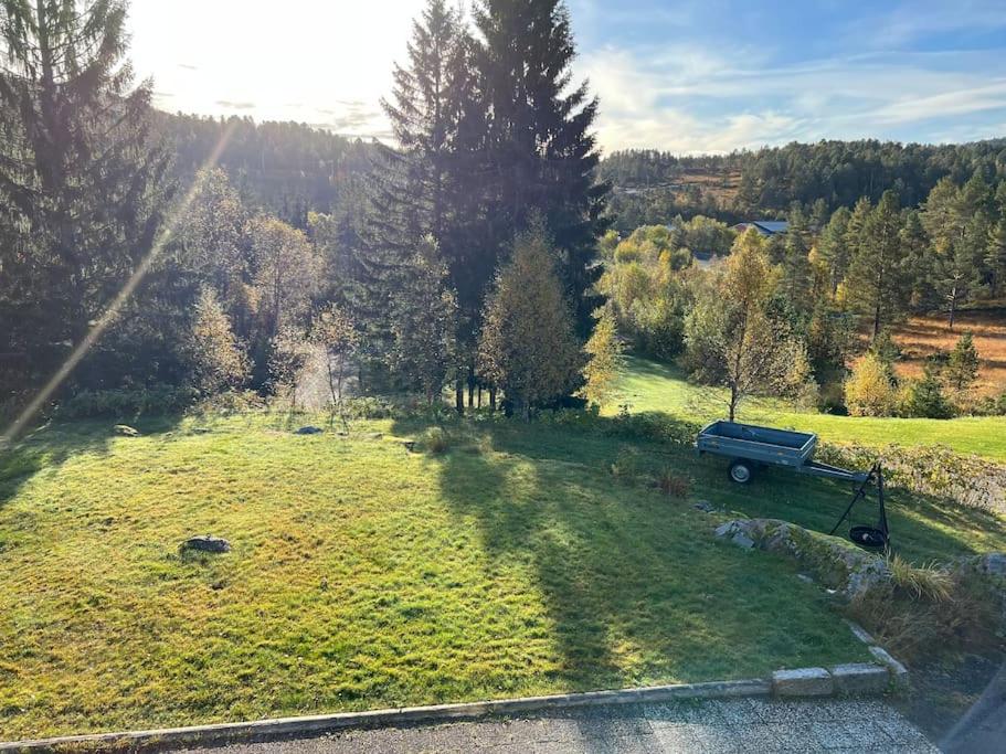 Frittliggende hytte i flott turterreng photo 4