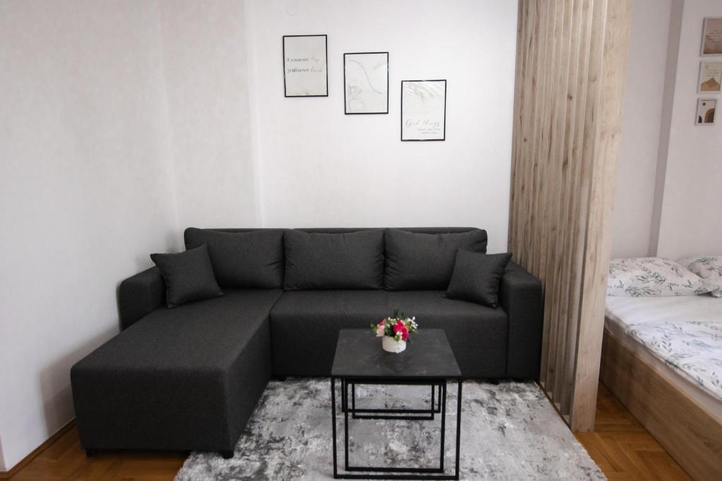Apartman Vas dom 2 photo 2