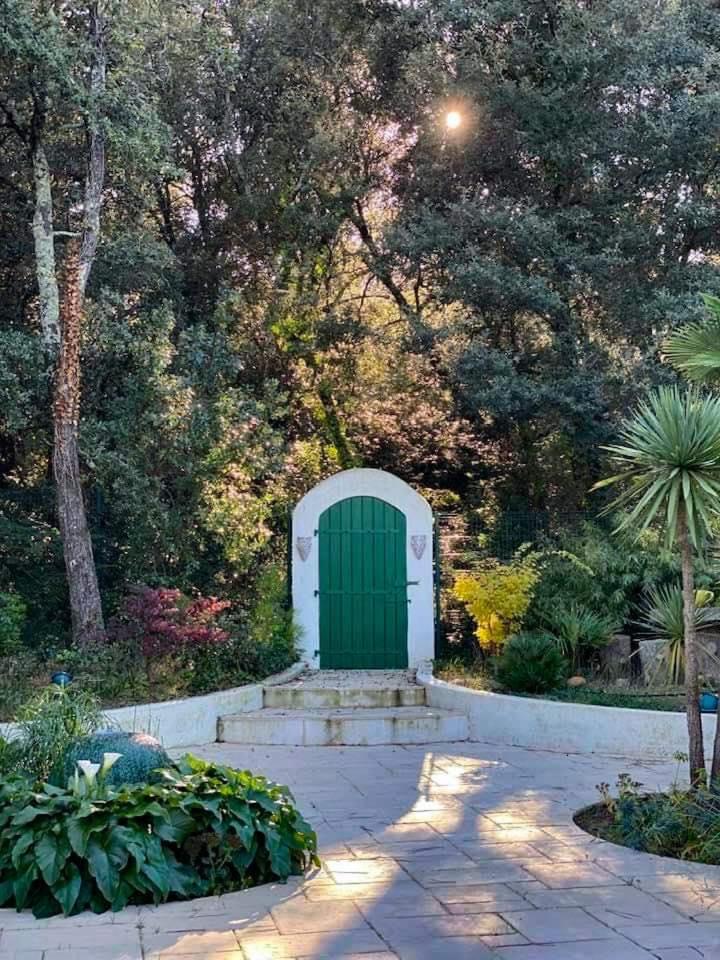 Studio with beautiful private garden on the forest in Domino photo 2
