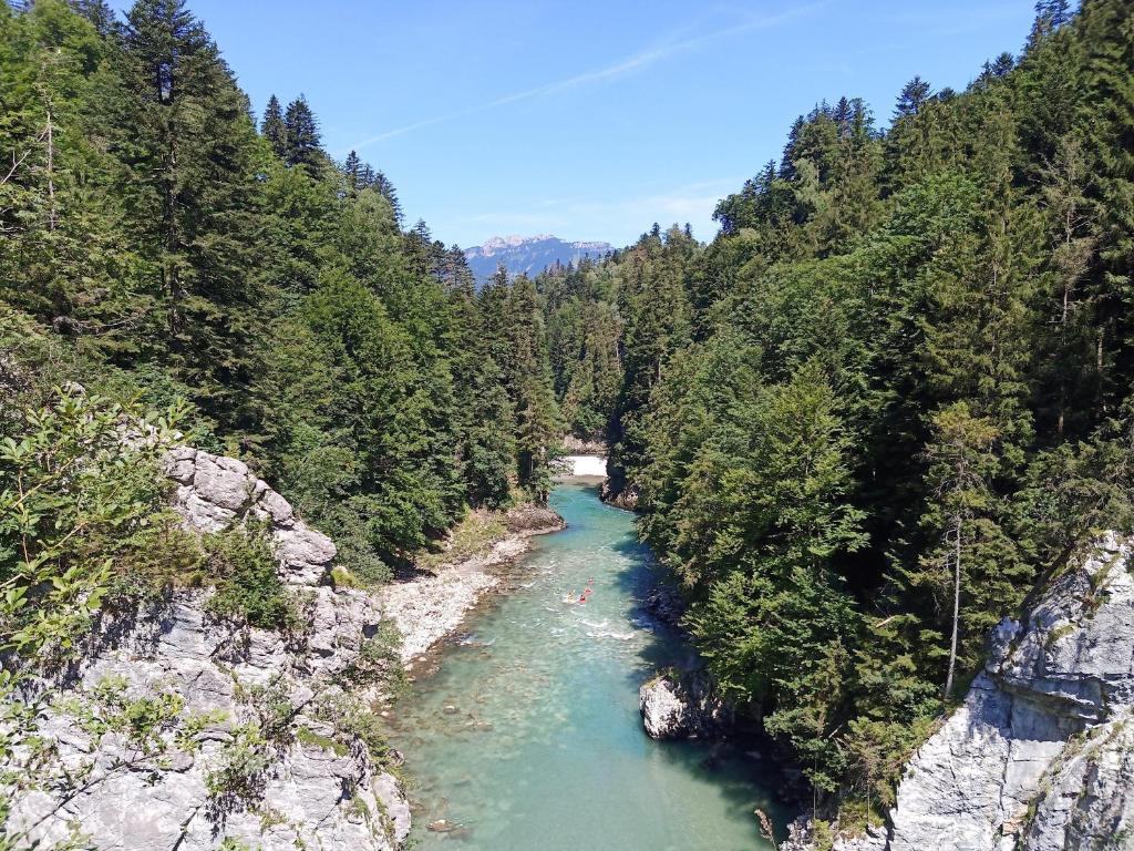 Pilzhof photo 3