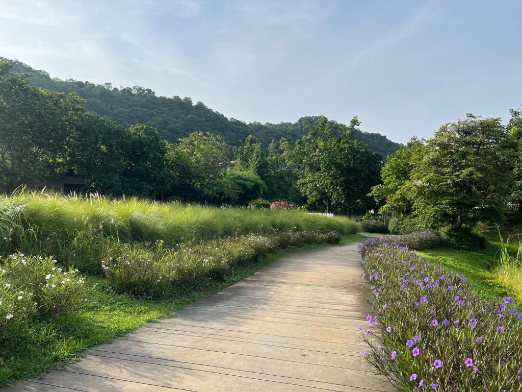Deluna 23degree by The valley khao yai photo 4