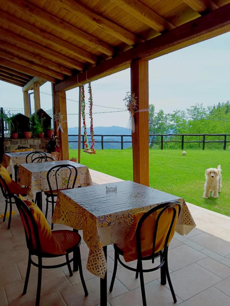 Terra Del Bosco Agriturismo photo 2