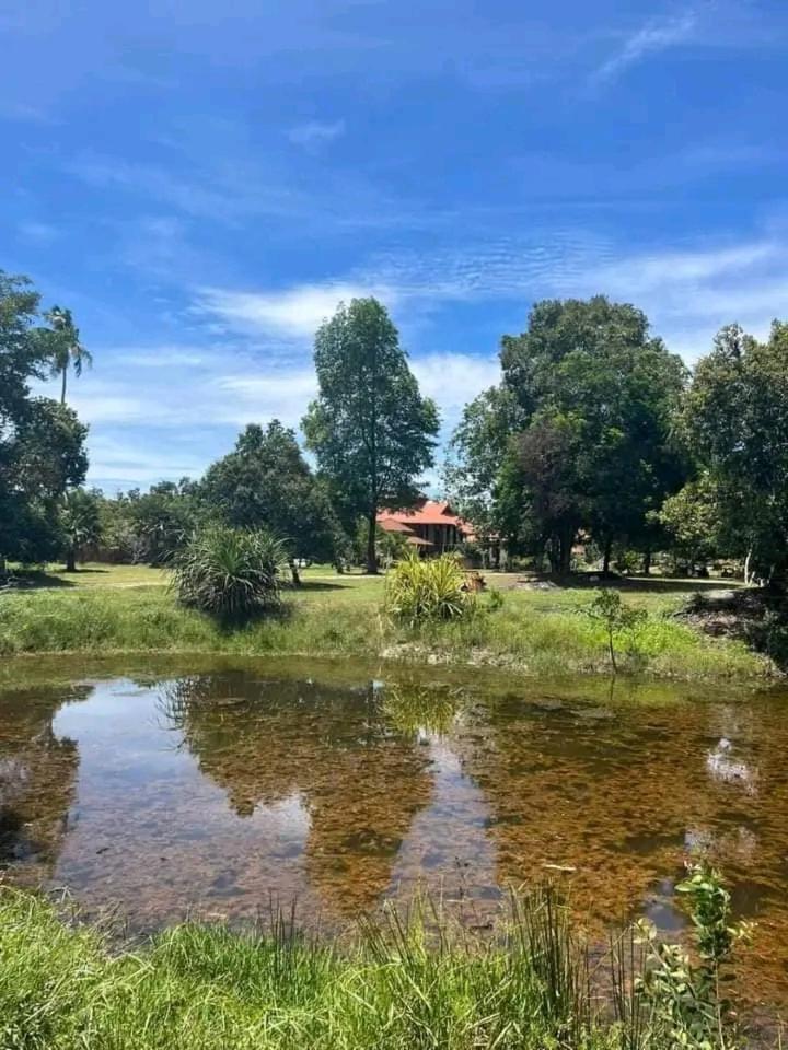Inap Kota sang rimba photo 1