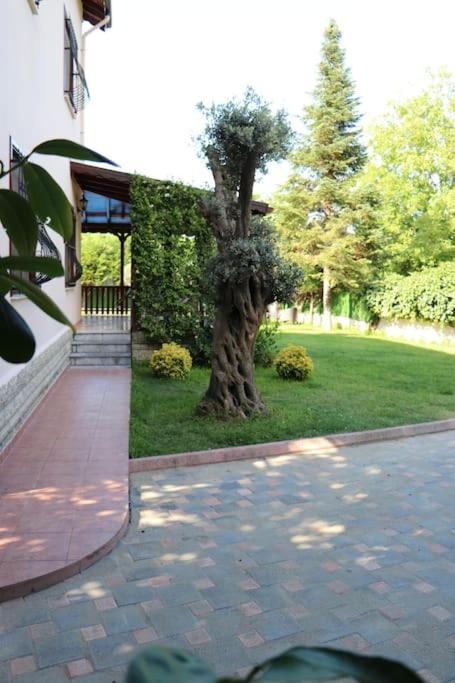 Villa Koral in Kirkpinar - Sapanca photo 4