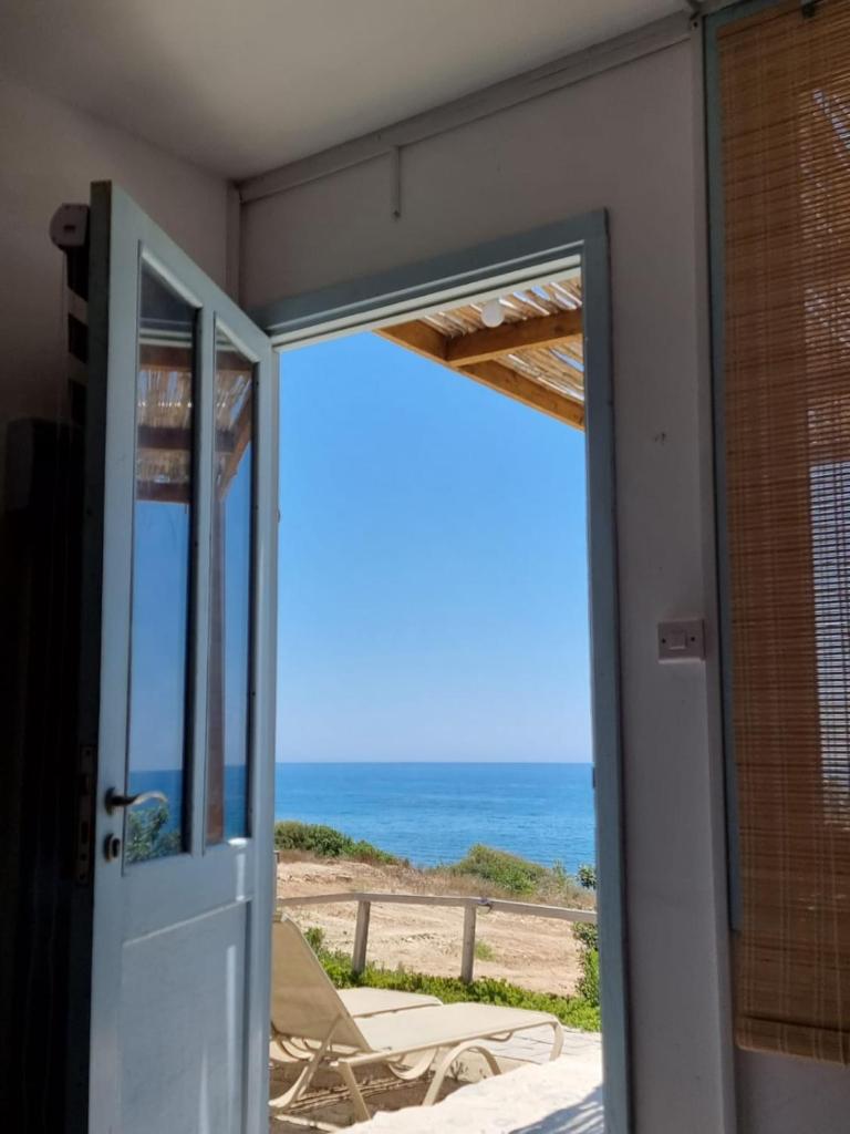 Summer Dream Cyprus photo 3