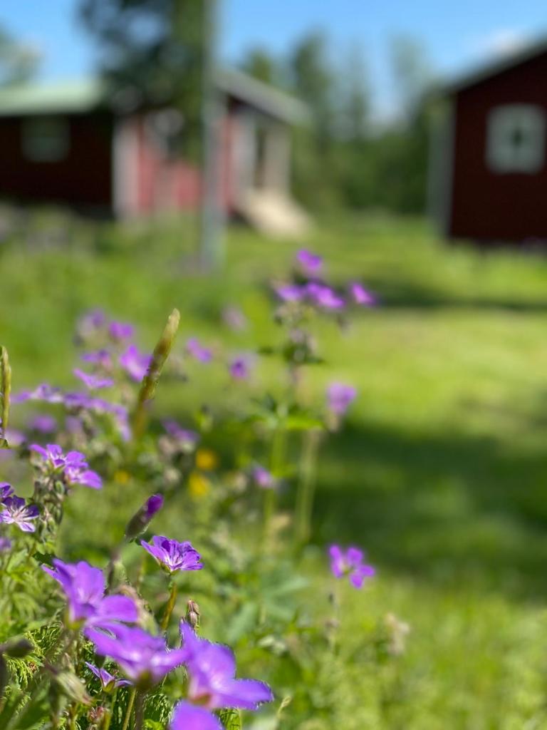 Tänndalens Stugby photo 4