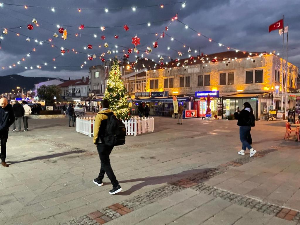 PALMİYE KONUK EVİ photo 4