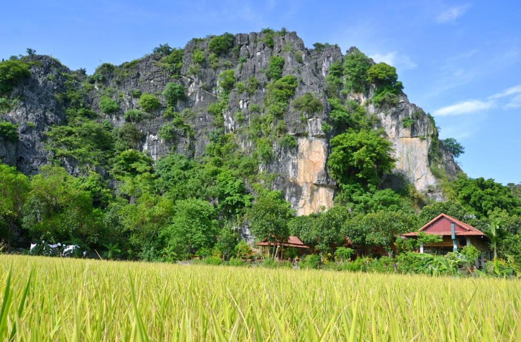 Tam Coc Mr.Loa Homestay