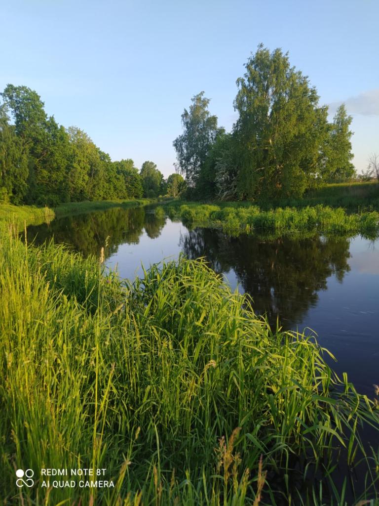 Wróblówka- domek na wsi photo 4
