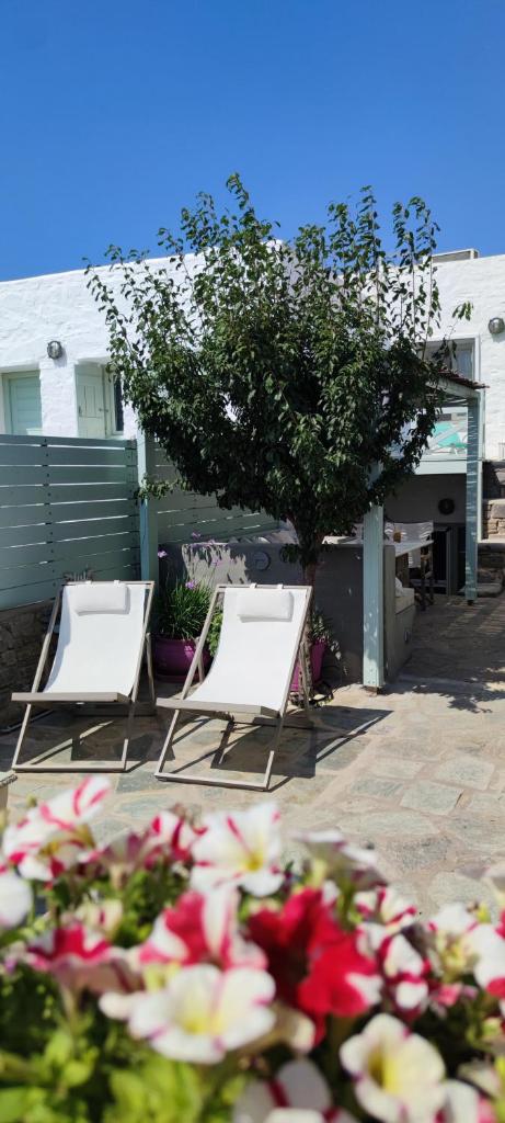 My Little Garden photo 3