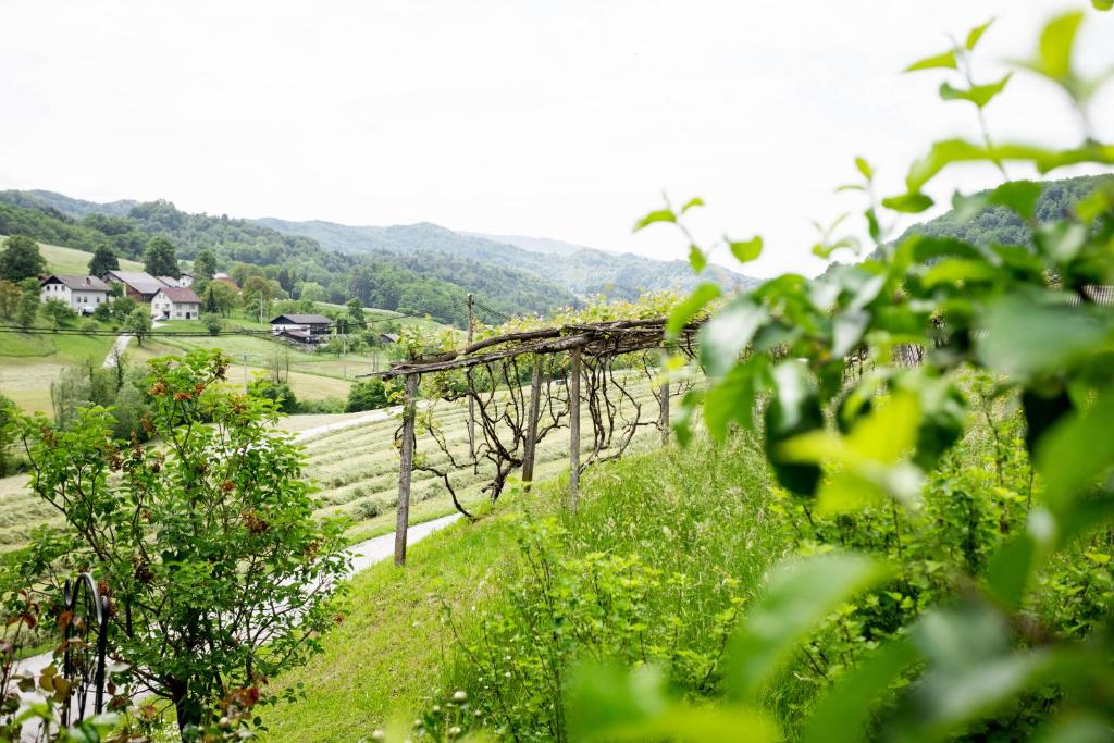 Apartma Smithy (Kovačnica) photo 4