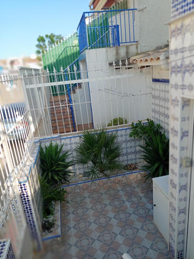 Casa Azul photo 4