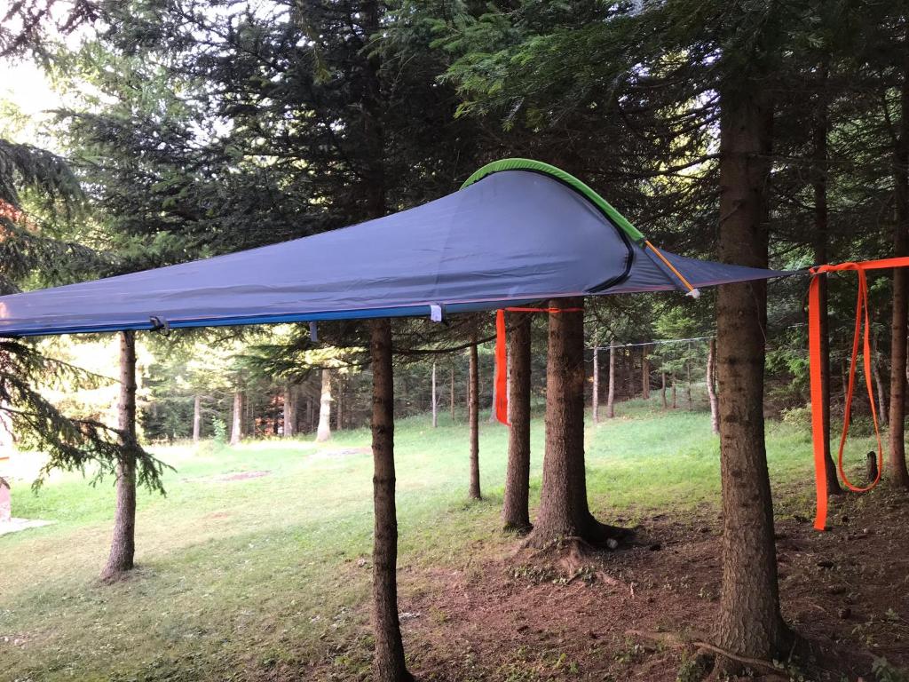 Durmitor Apartments Holiday photo 1