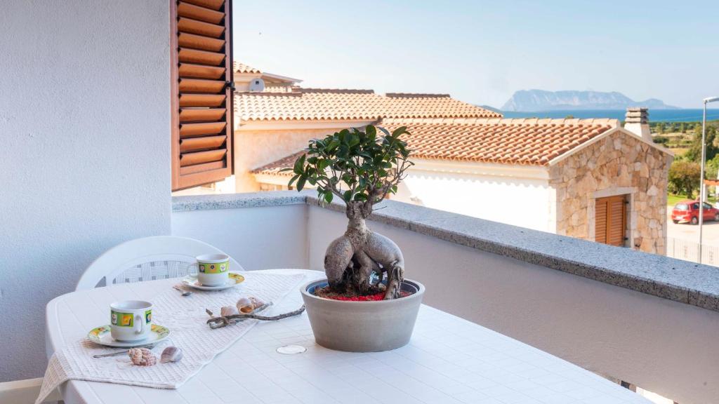 Welcomely - Casa Su Lizu photo 1
