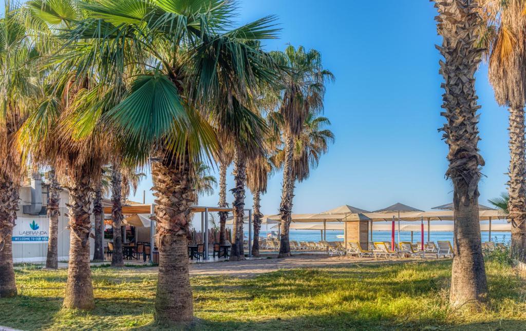 Labranda Excelsior Hotel photo 1
