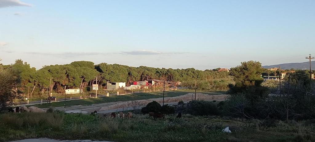 The Byzantine Wall House photo 4