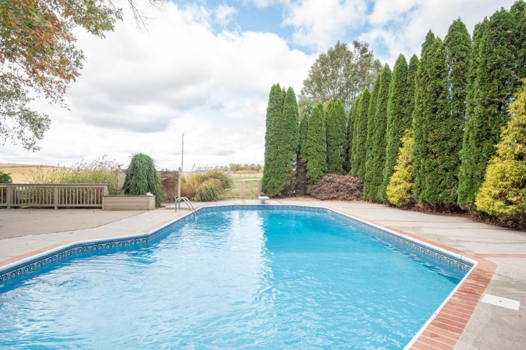 Cozy Cow with pool! image