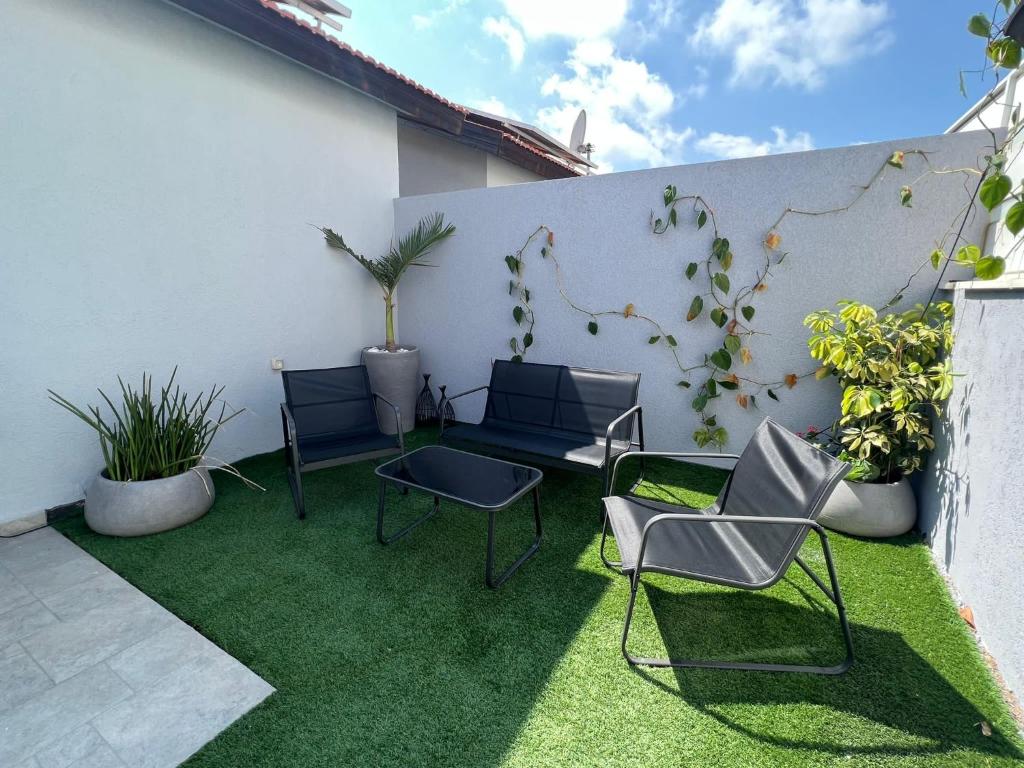פינה בשחף photo 3
