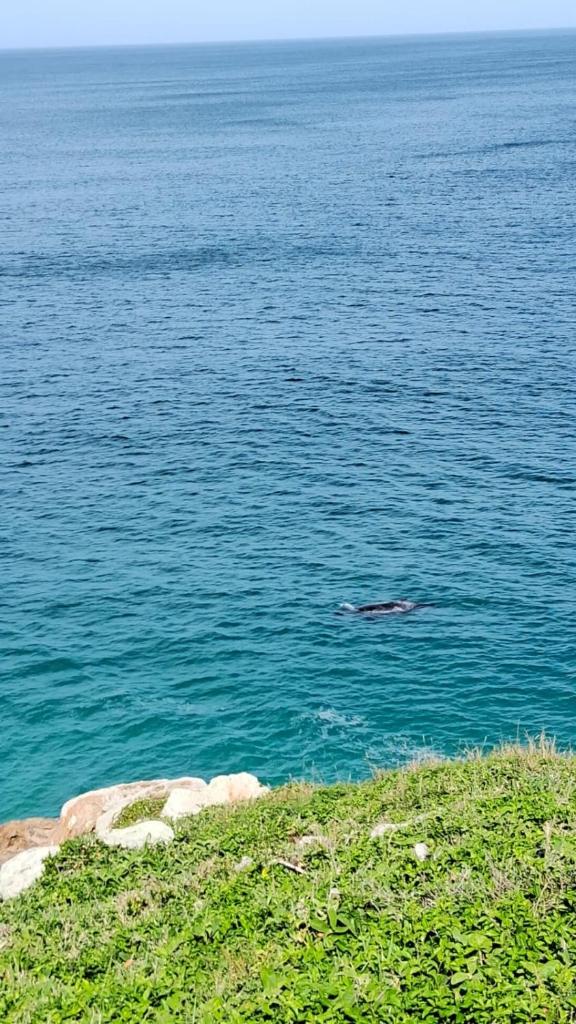 Pousada Canto da Baleia photo 1