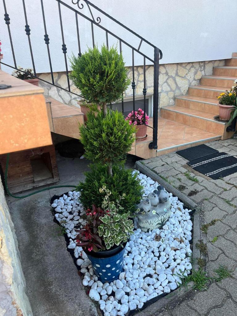 Rege apartman 2 photo 2