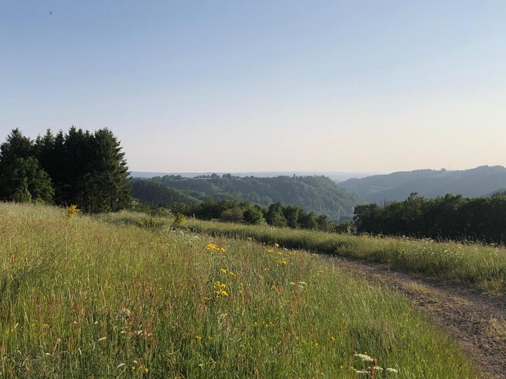 Le pré de Régine et Joseph photo 3