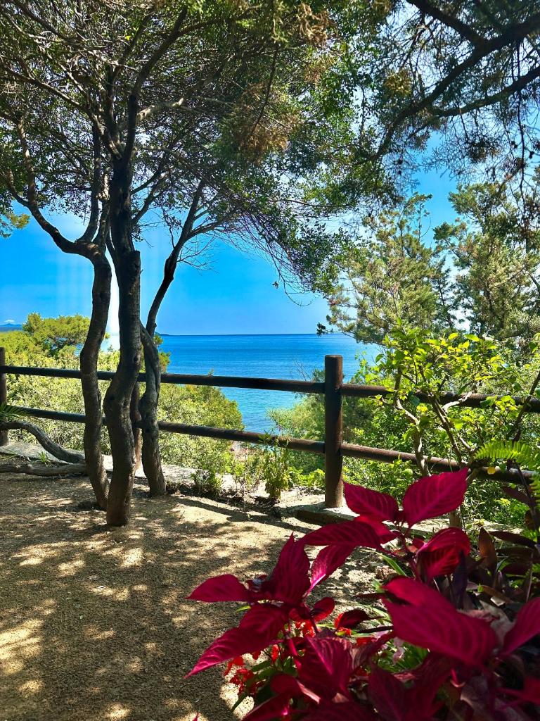 VILLA GIU MAR 2 Jennas photo 2