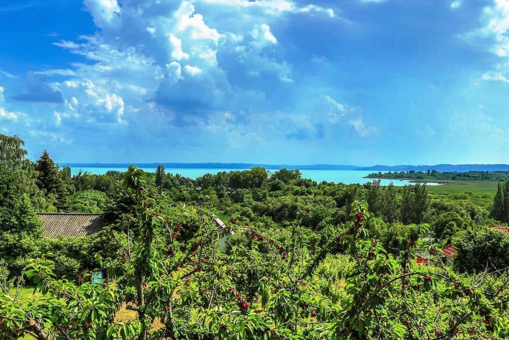 Linczi Ház photo 2