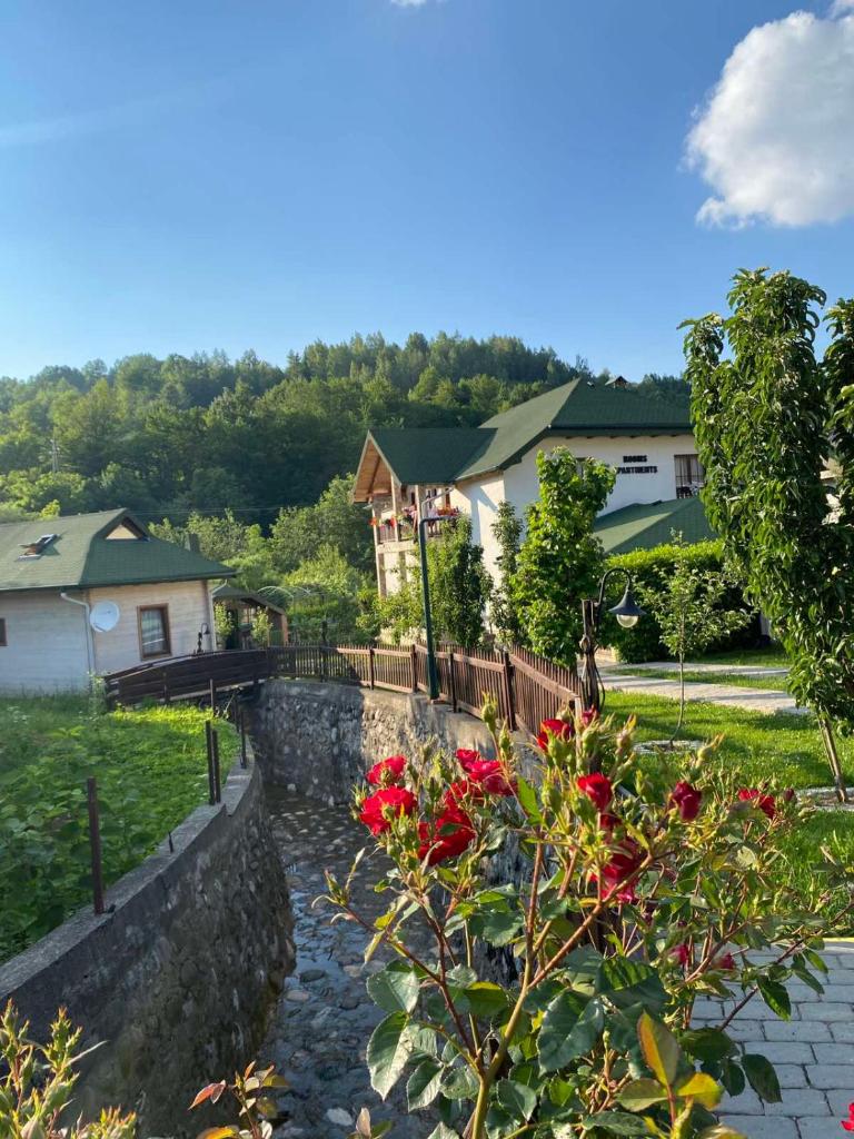 Rooms and apartmants Mirovic