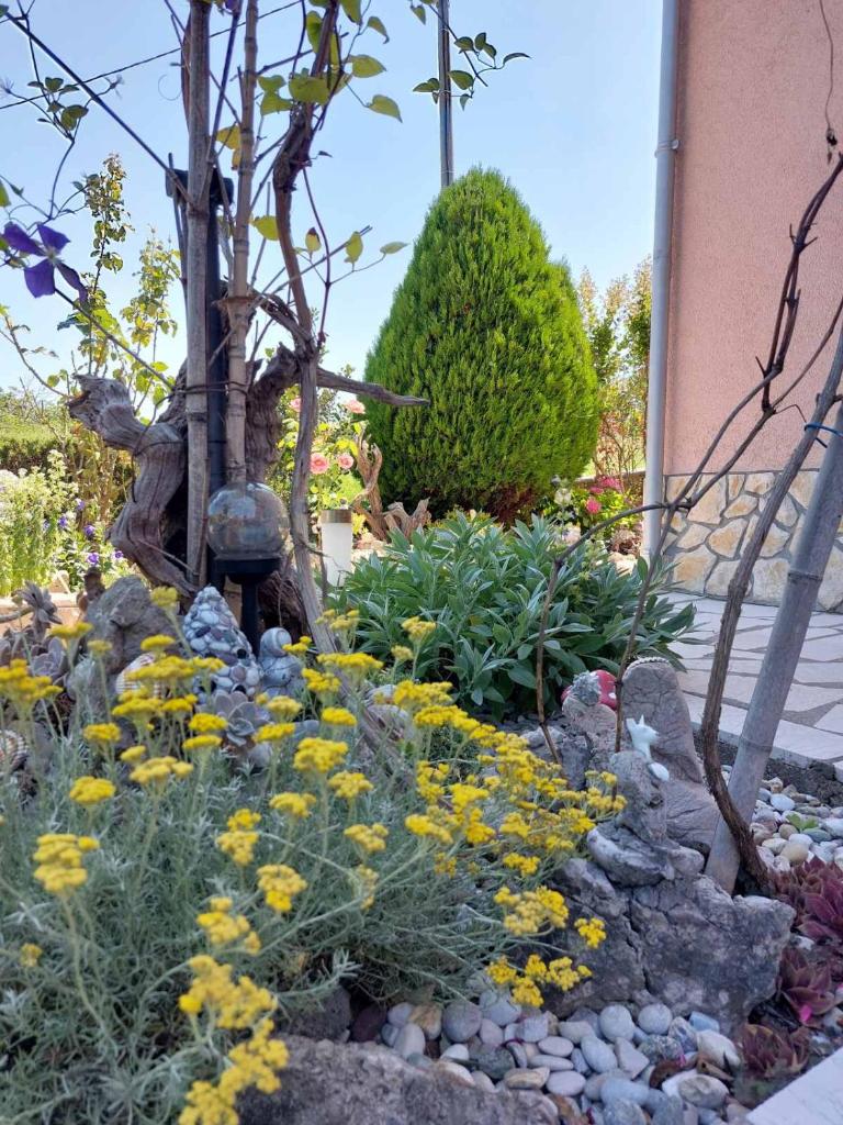 Apartmani Anica photo 1