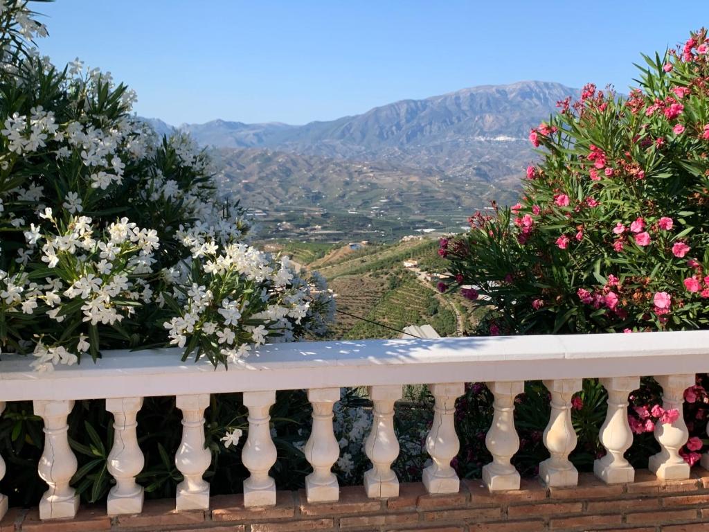 Casa Anhelando Andalucia - Een villa prachtig op een heuveltop met magnifiek uitzicht nabij dorp en strand photo 3