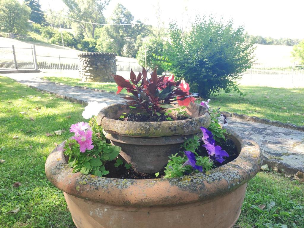 Villetta con giardino photo 4