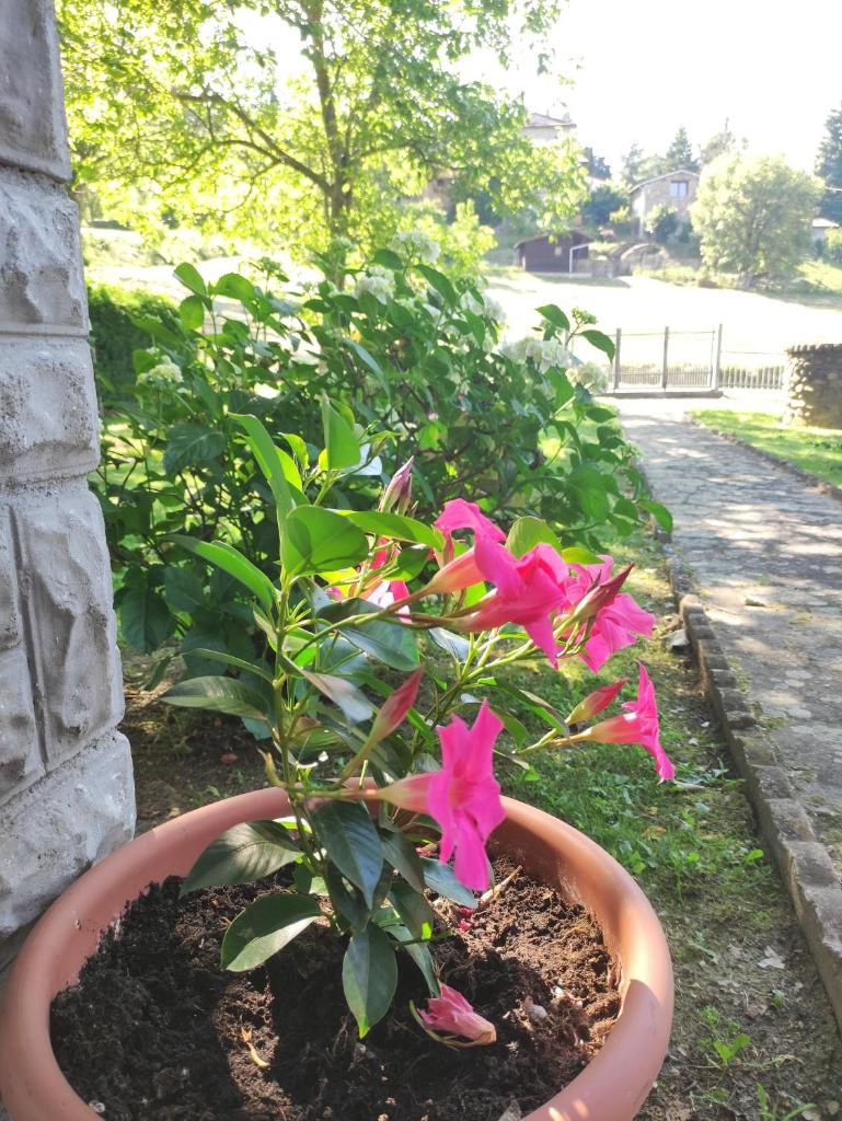 Villetta con giardino photo 3