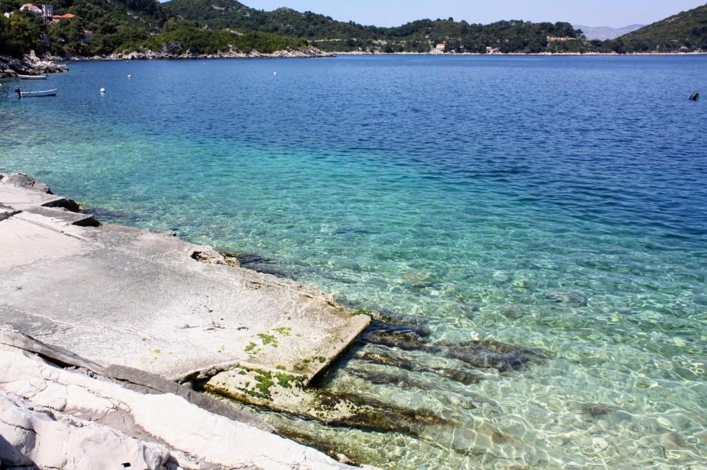 Apartments and rooms with parking space Sobra, Mljet - 18465 photo 3