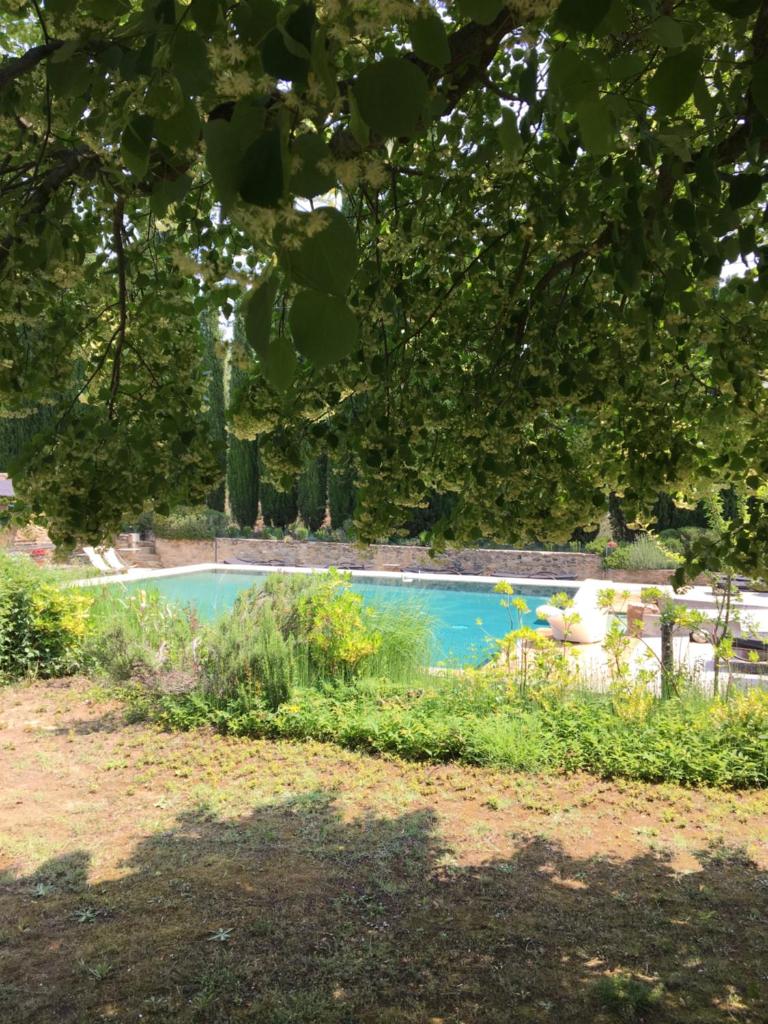 B&B Contemporain Le Jardin photo 2