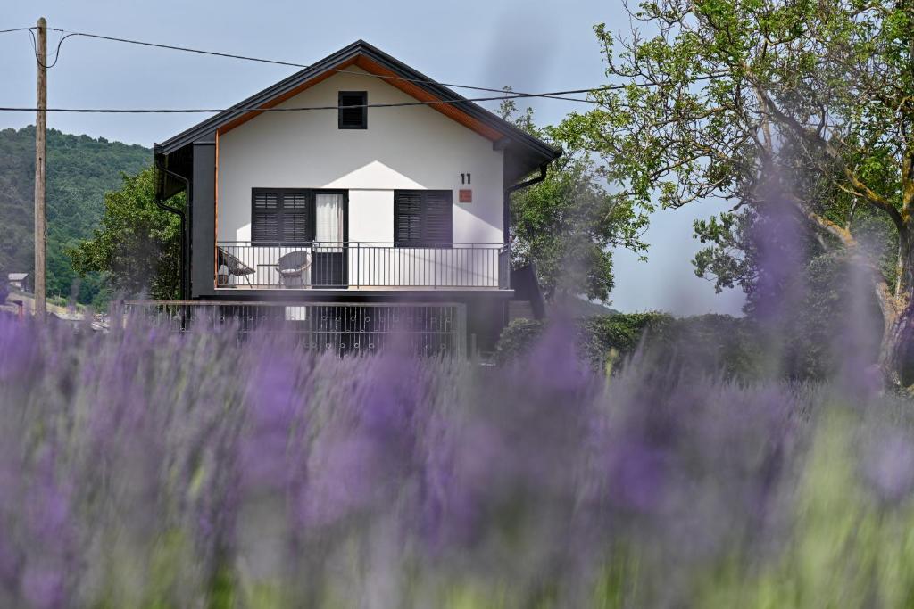 Vacation Home - NEST Kalnik photo 1