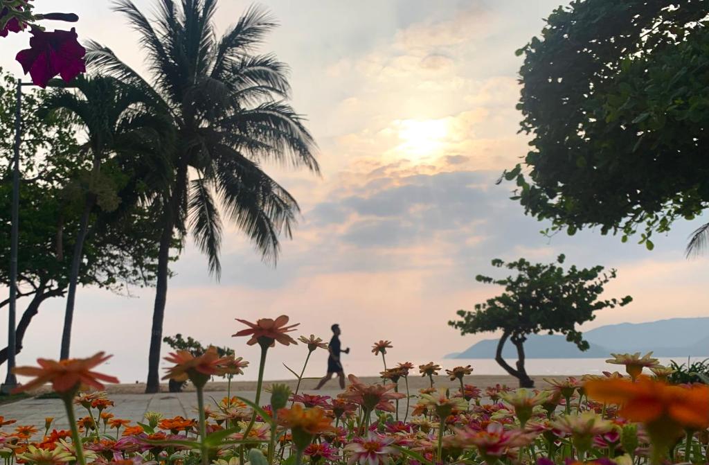 Saphia Hotel Nha Trang