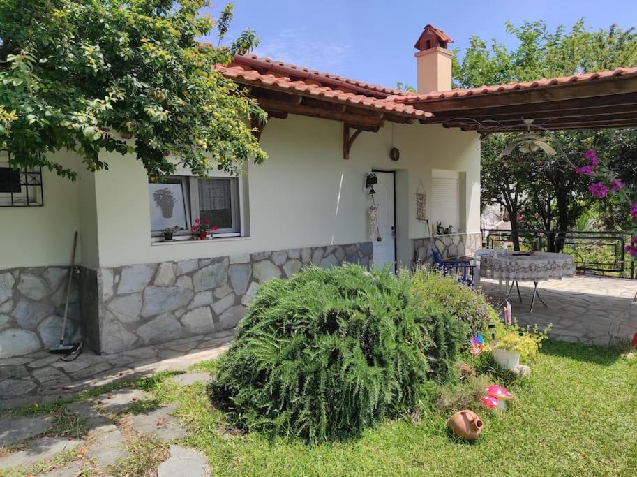 Summer House 150m from the beach for 5 persons. photo 3