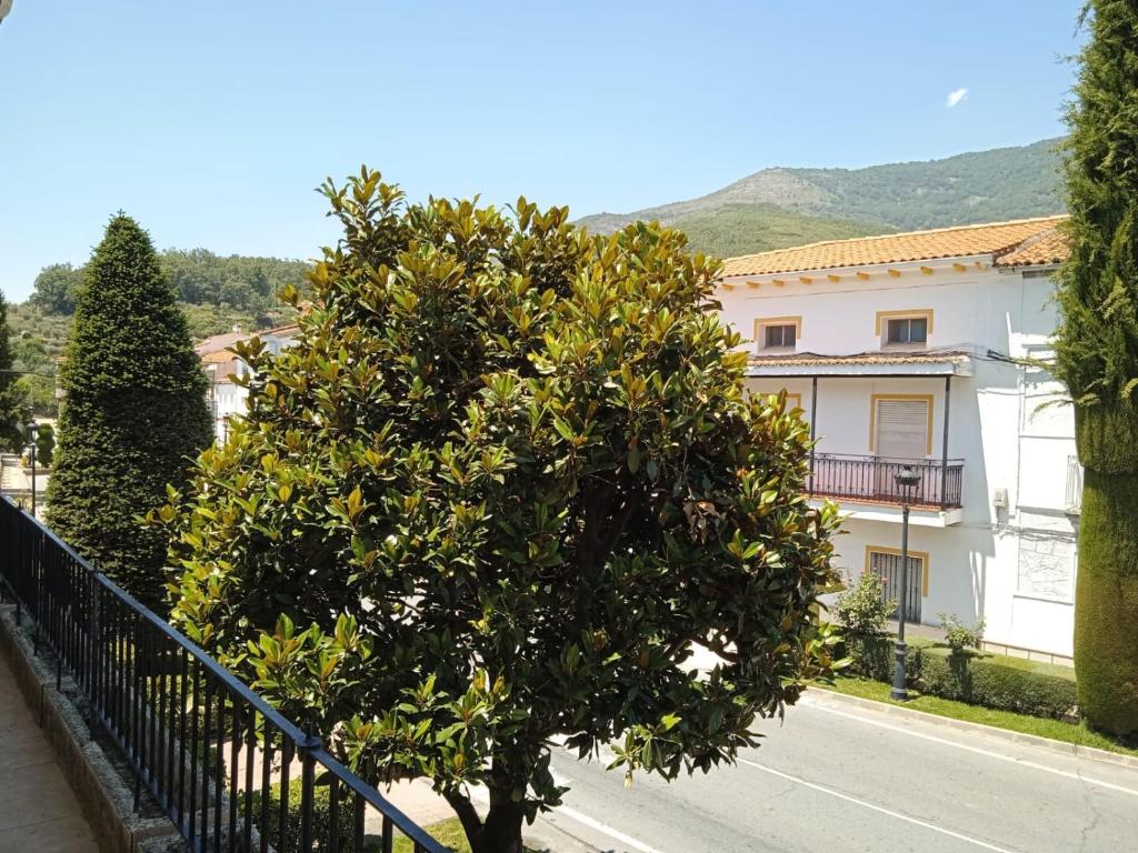 AT LA VIÑUELA photo 4
