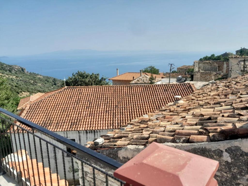 Villa delux photo 3