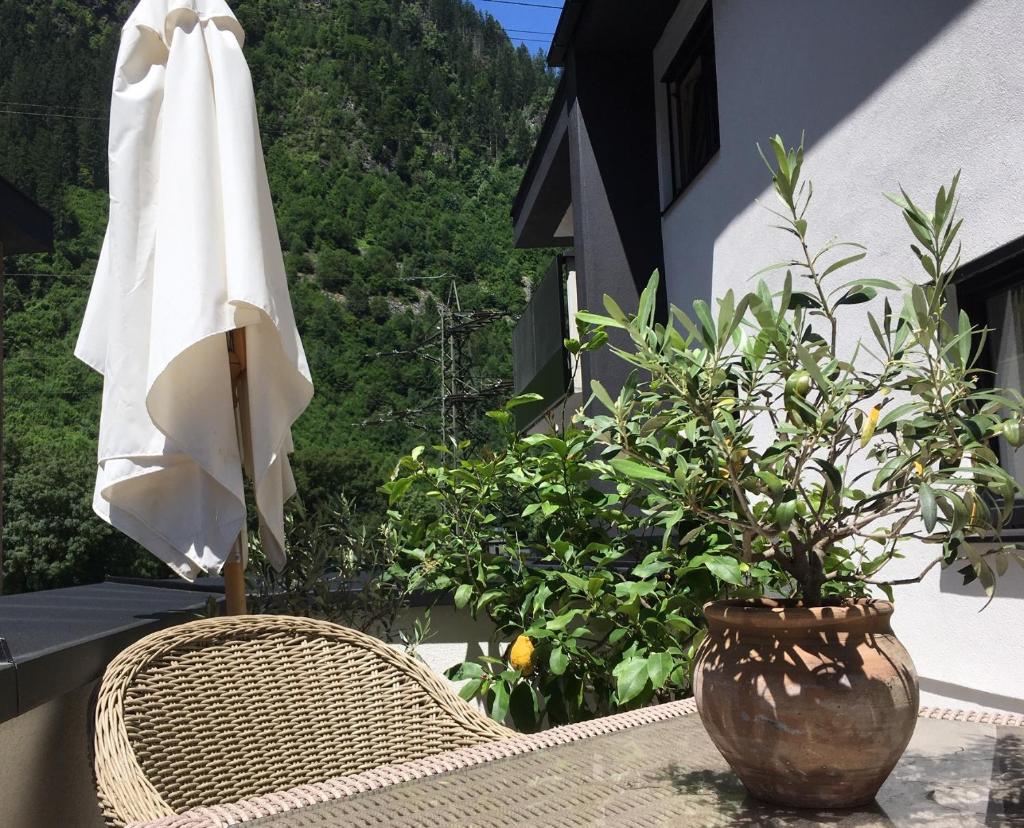 monas home mayrhofen photo 3
