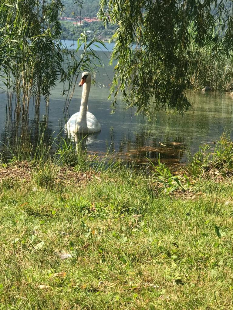 casa vacanze in centro storico a 30 metri dal lago photo 3