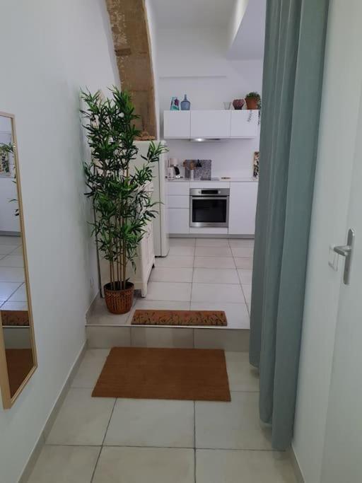 Appartement T2 avec jardin privatif photo 3