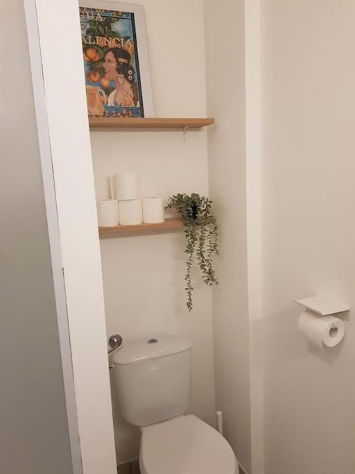 Appartement T2 avec jardin privatif photo 4