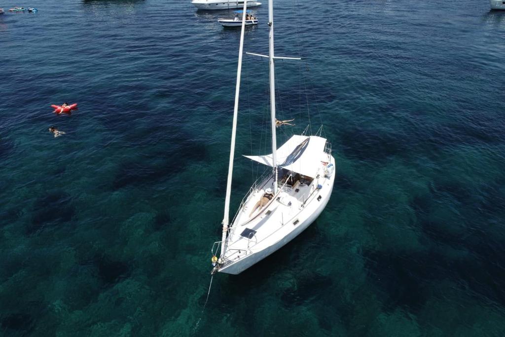 Barca a vela photo 1