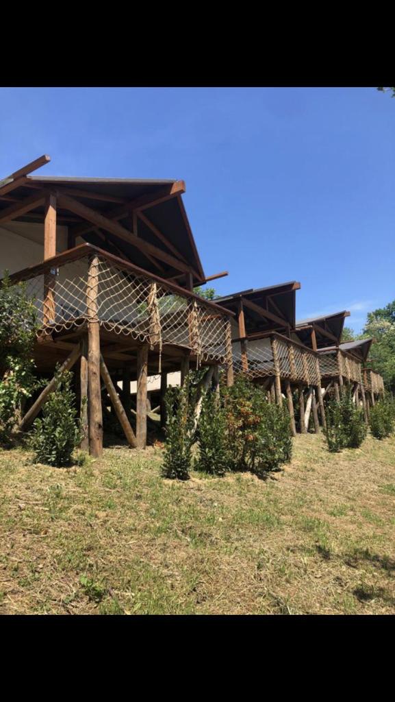 AgriGlamping La Diaccia photo 2