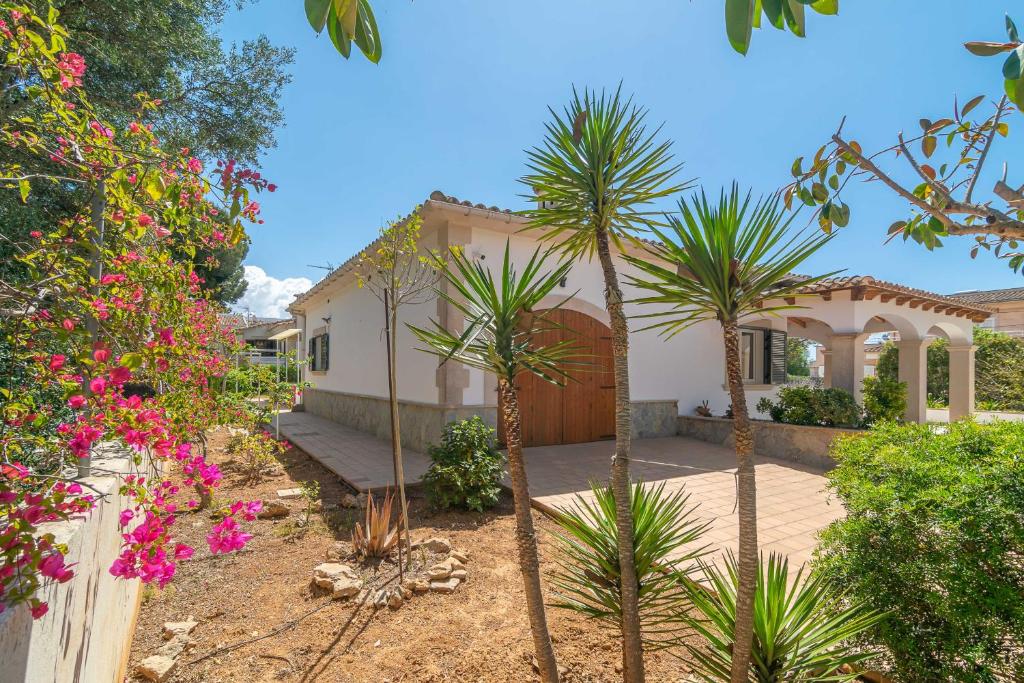 Casa Aina photo 4